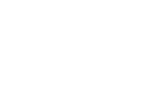BRAND-AVATAR-WHITE-LOGO-500x338